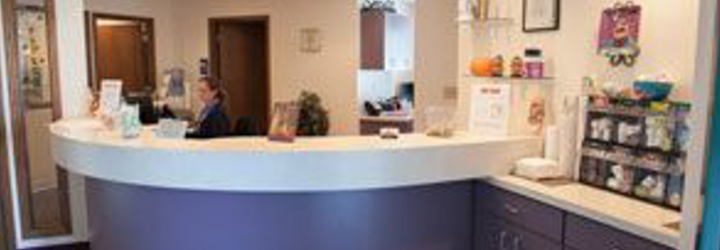 Dentist